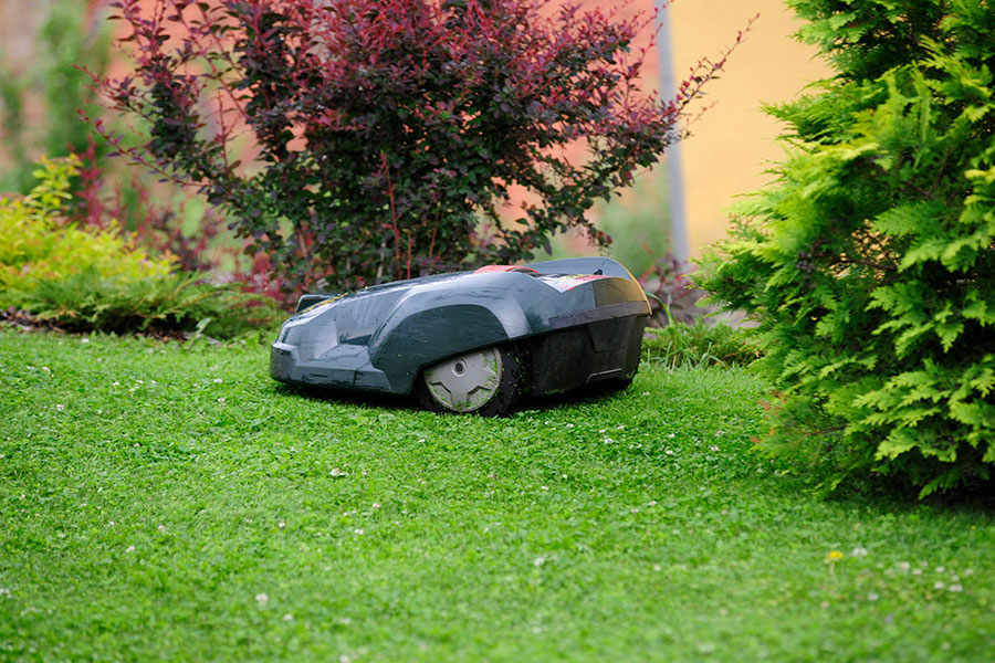 Bras robotgräsklippare som klipper gräs