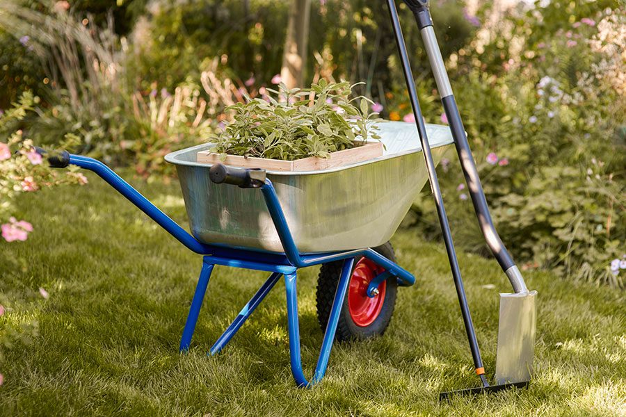 Skottkärra för trädgård