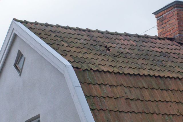 sprackttakpanne.jpg