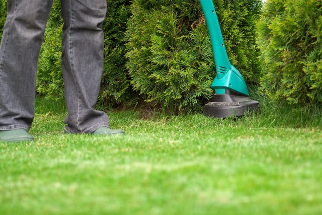 trimmar-med-grastrimmer.jpg